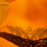 extramarital affairs personal ads in Iowa, IA marital dating in Iowa, IA